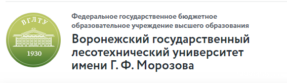 沃罗涅日国立工程技术大学